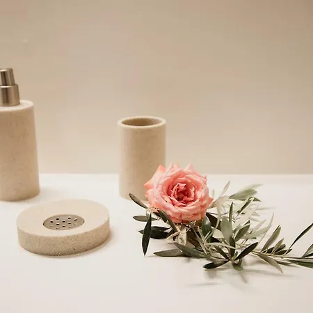 펜션 Aleria Luxury Cave Santorini Éxo Goniá